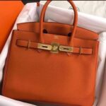 Hermes Birkin Orange Hand Bag - Accessories | Buy Online at Best Price
