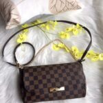 Louis Vuitton Shelton Grid Shoulder Bag(With Box) - Accessories | Buy Online at Best Price