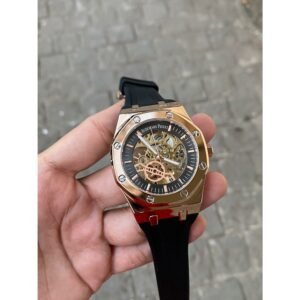 Mechanical Skeleton Audemars Piguet Watch Men ( SG-389)