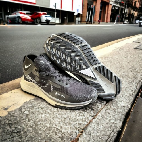 First Copy Shoes of Nike – Nike Pegasus Trail 4 Goretex for Men