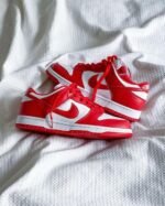 Nike SB Dunk Gym Red - 7a first copy shoes | Buy Online at Best Price
