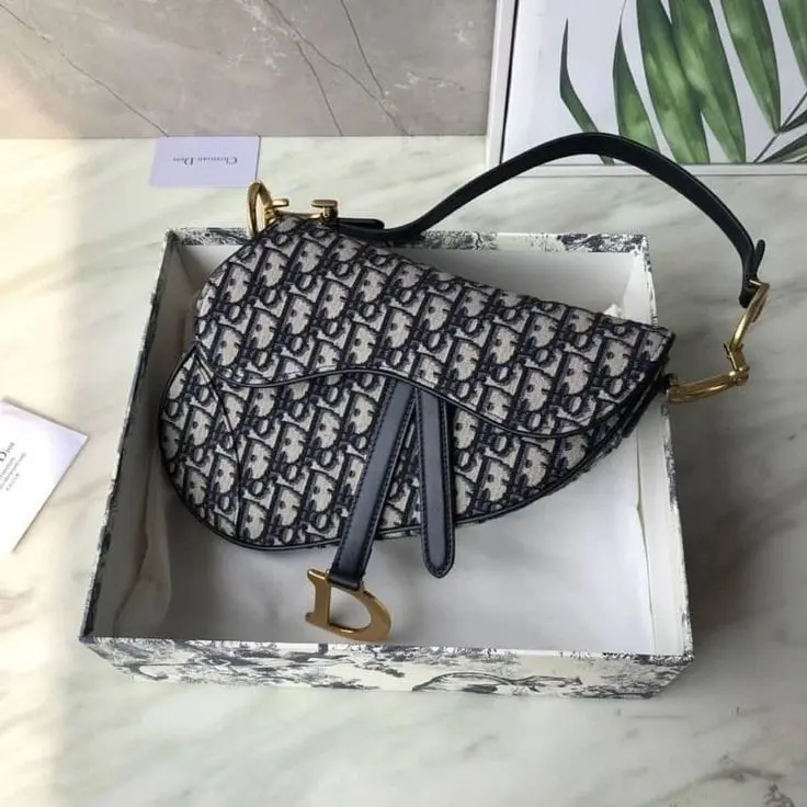 Christian Dior Black Embroidery Saddle (With Box)