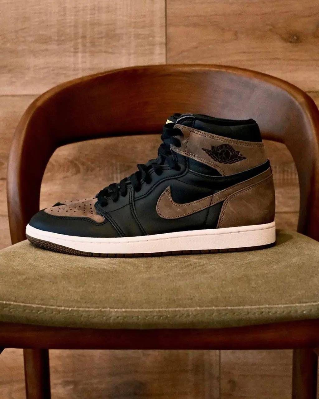 Air Jordan Retro 1 Shoes