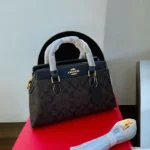 Coach Darcie Carryall Coffee Medium Handbag (With Box) - Accessories | Buy Online at Best Price