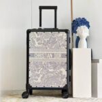 Dior Tiger Grey Color 20 Inch Cabin Trolley Bag - Accessories | Buy Online at Best Price