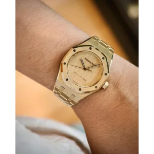 Buy Luxurious Audemars Piguet Store Article Watch For Men (CS4636)
