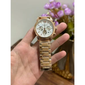 Buy Premium Patek Philippe Watch For Men (LL404)
