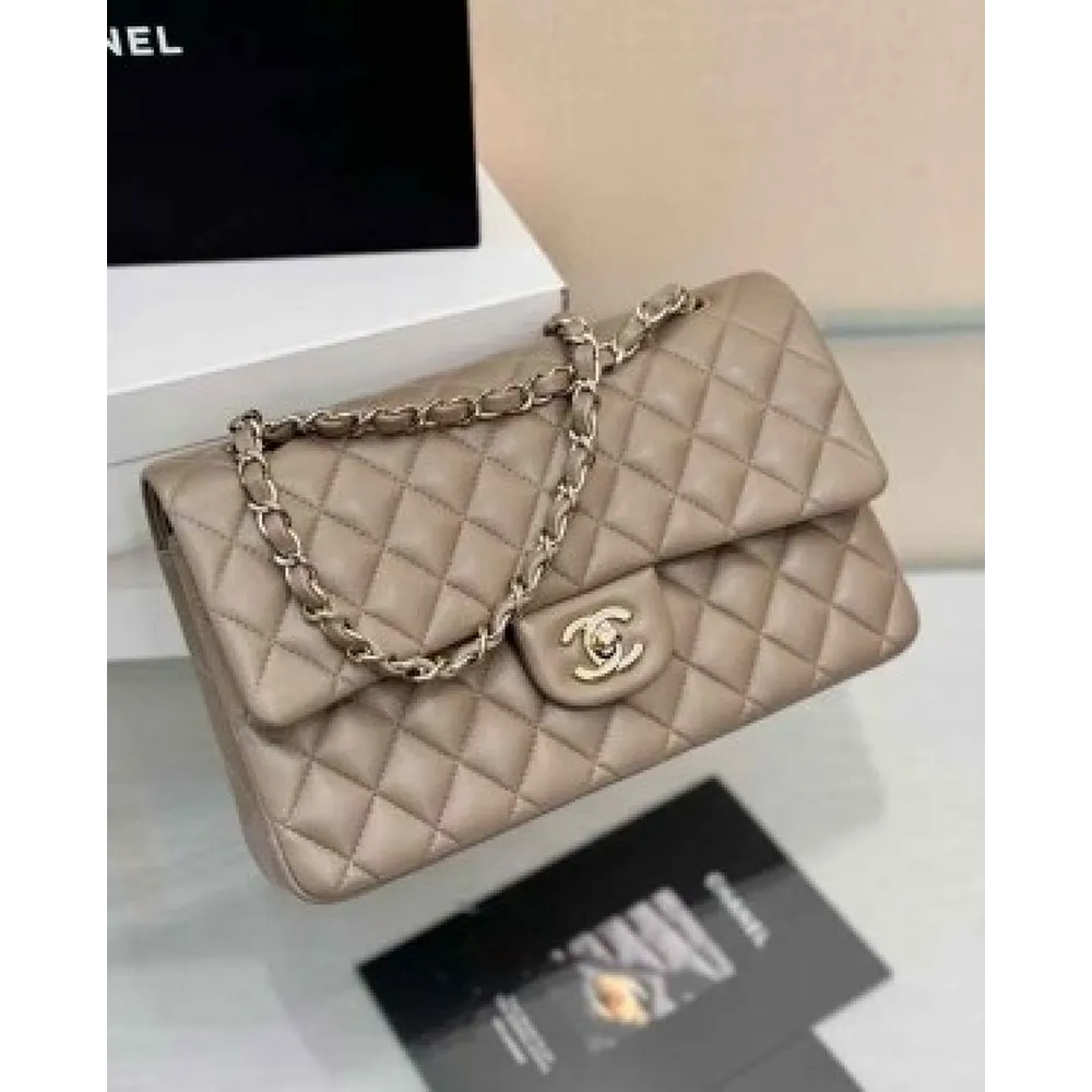 Chanel Handbag For Women (BOT884)