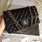 Chanel Handbag For Women (CSO1232) - Accessories | Buy Online at Best Price