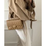Chanel Handbag For Women (FT209) - Accessories | Buy Online at Best Price
