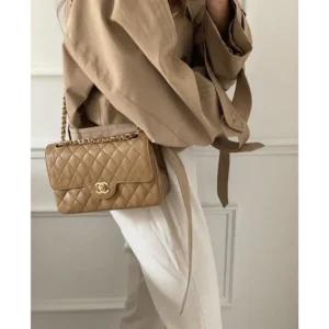 Chanel Handbag For Women (FT209) - Accessories | Buy Online at Best Price