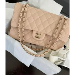 Chanel Handbag For Women (FT210) - Accessories | Buy Online at Best Price