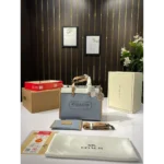 Coach Handbag For Women (BOT856) - Accessories | Buy Online at Best Price