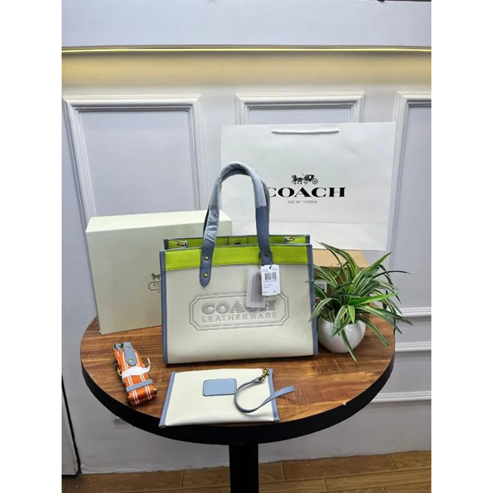Coach Handbag For Women (FT299)