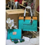 Coach Handbag For Women (LAB1761) - Accessories | Buy Online at Best Price