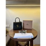 Coach Handbag For Women (SUP1728) - Accessories | Buy Online at Best Price