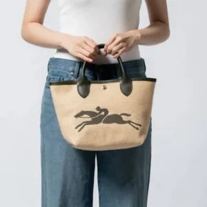 Long Champ Handbag For Women (BOT993)