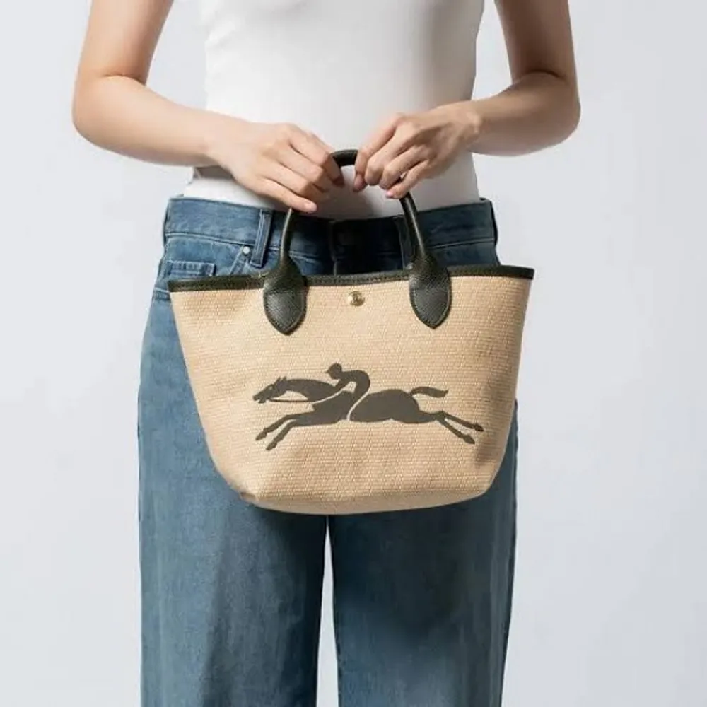 Long Champ Handbag For Women (BOT993)