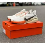 Nike Air Zoom Pegasus 41 Shoes For Men (BSF163) - 7a first copy shoes | Buy Online at Best Price
