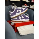 Nike Dunk Low Court Purple Shoes For Men (LAZ525) - 7a first copy shoes | Buy Online at Best Price