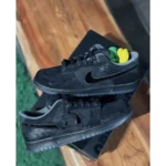 Nike Dunk Low Ducks Of The Feather University Of Oregon Shoes For Men (HS230) - Buy Online | Brandfasion