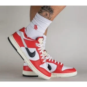 Nike Sb Dunk Chicago Low Shoes For Men (SW1269)