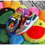 Nike Sb Dunk What The Paul Shoes For Men (SZ58) - 7a first copy shoes | Buy Online at Best Price