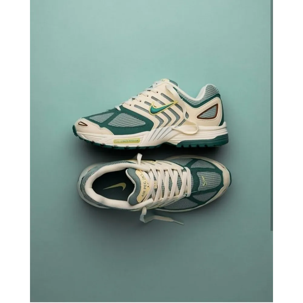 Luxurious Nike Air Pegasus 2005 Shoes For Men With Brand Box (SUP5659)