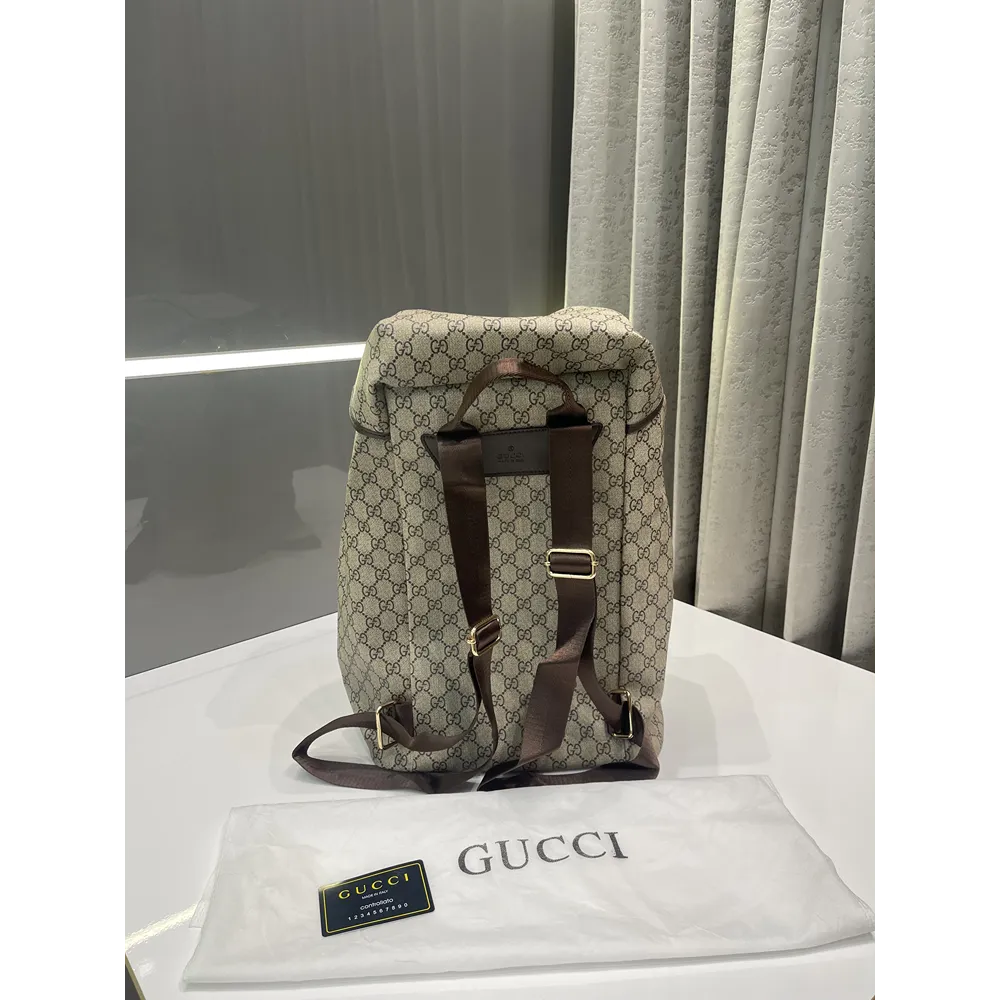 Trendy Gucci Bagpack (J2583)