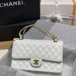 Luxurious Chanel Handbag For Women (CSO2206) - Accessories | Buy Online at Best Price