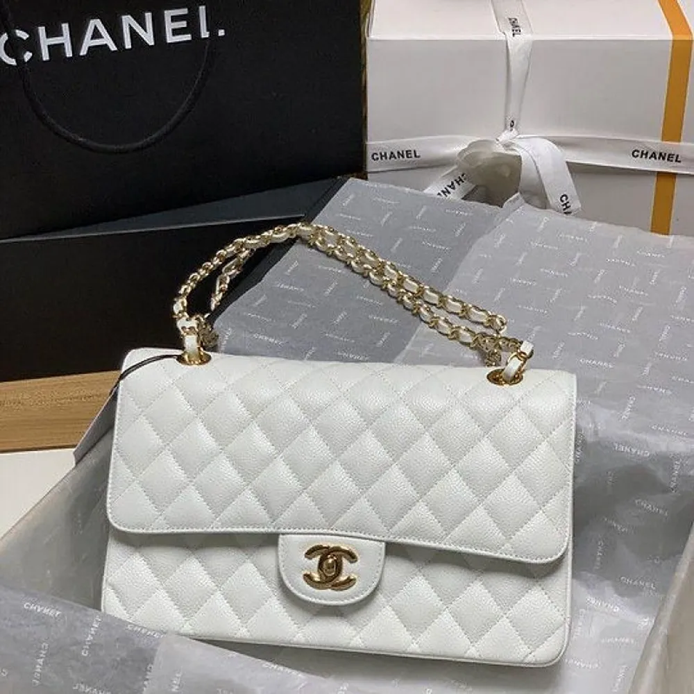Luxurious Chanel Handbag For Women (CSO2206)