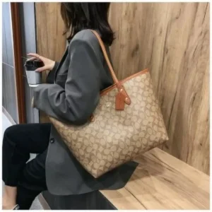 Imported Coach Handbag For Women (CT769)