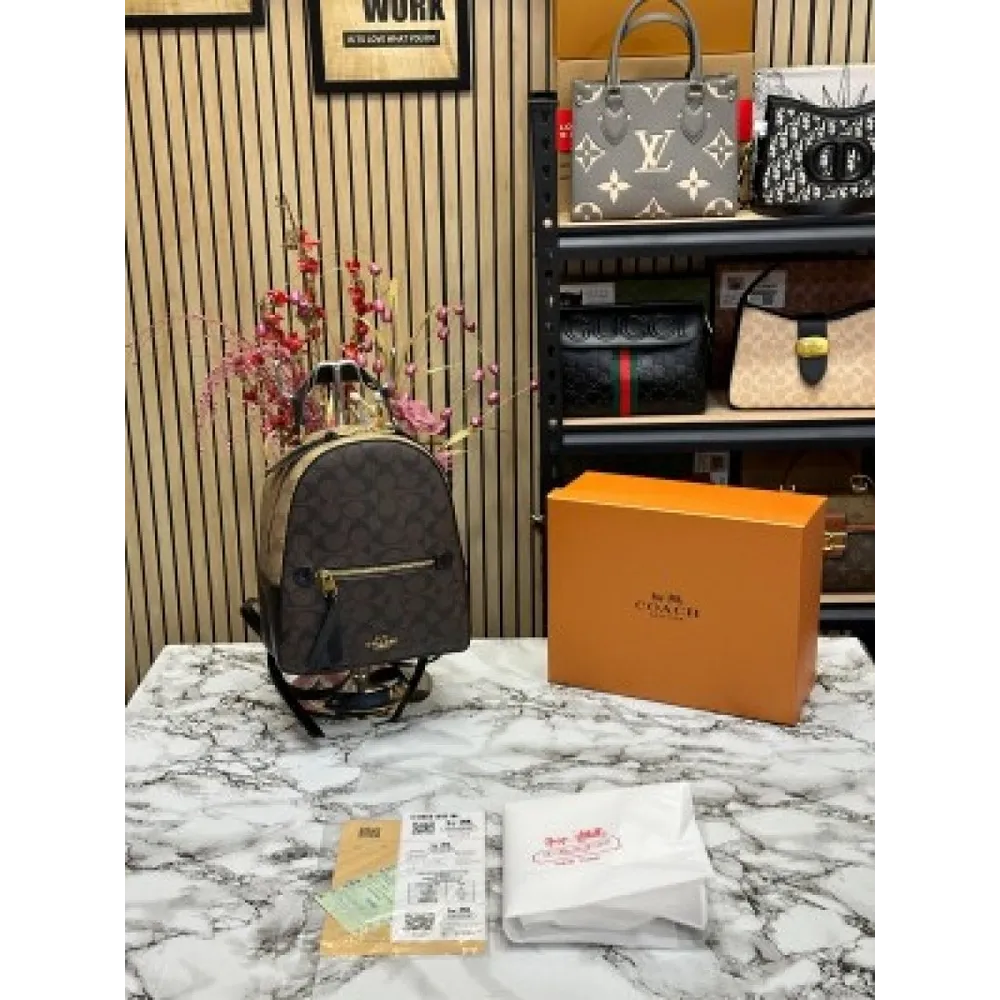 Trendy Coach Bagpack (J2589)