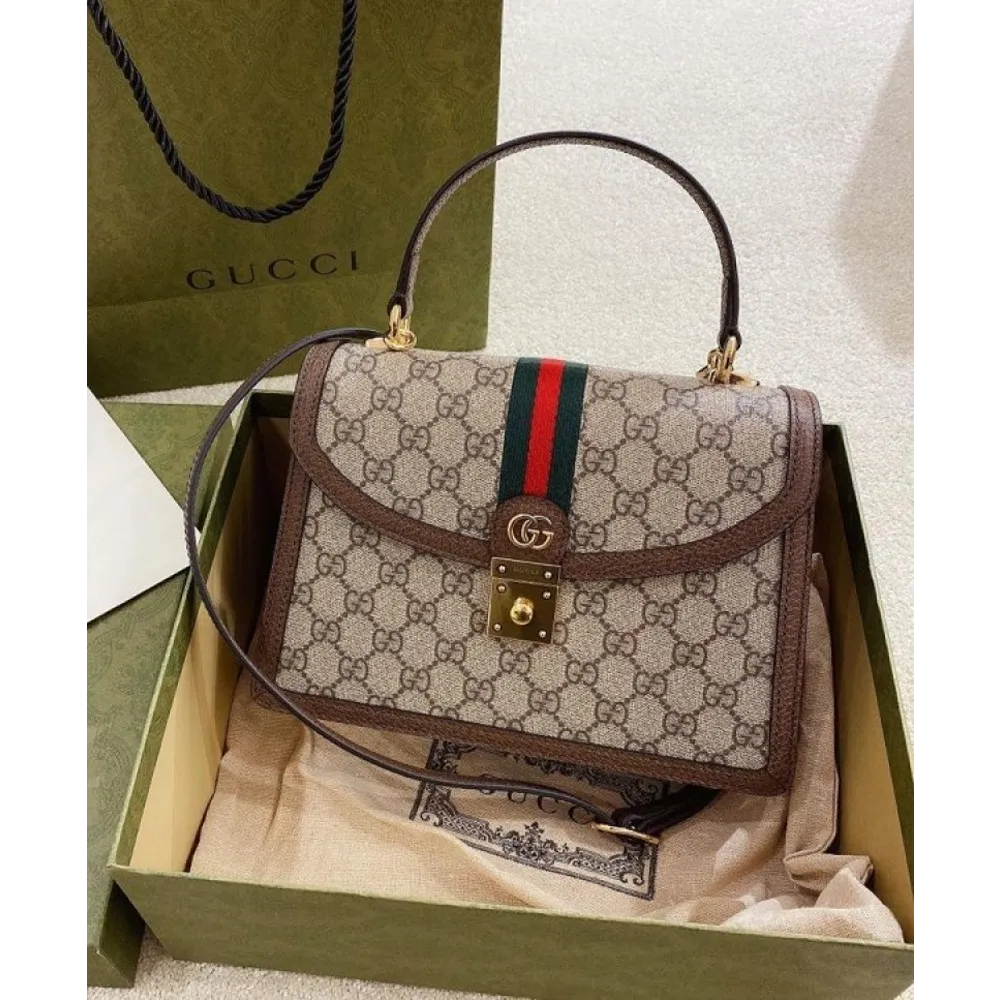 Luxurious Gucci Handbag For Women (CSO2325)