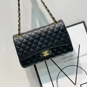 Premium Chanel Handbag For Women (BH1069)
