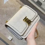 Stylish Burberry Handbag For Women (SUP5251) - Accessories | Buy Online at Best Price