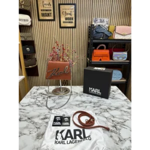 Luxurious Karl Lagerfeld Handbag For Women (CSO2220)
