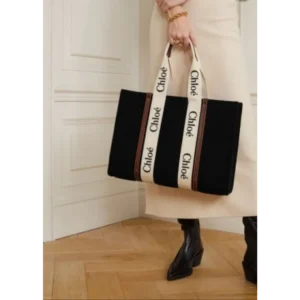 Luxurious Chloe Handbag For Women (CSO2372) - Accessories | Buy Online at Best Price