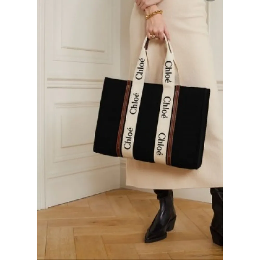 Luxurious Chloe Handbag For Women (CSO2372)