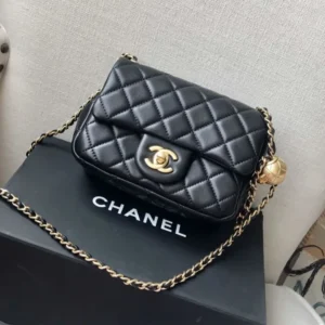 Luxurious Chanel Handbag For Women (CSO2227)