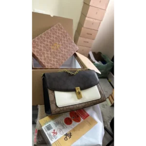 Luxurious Coach Handbag For Women (CSO2148)