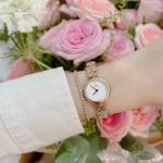 Classy Daniel Wellington Watch For Women (J2142) - Accessories | Buy Online at Best Price