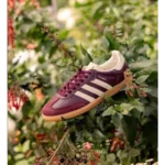 Classy Adidas Samba Classic Maroon Shoes For Men (SHH07856) - 7a first copy shoes | Buy Online at Best Price