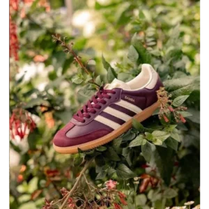 Classy Adidas Samba Classic Maroon Shoes For Men (SHH07856)