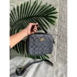 Imported Coach Handbag For Women (CT800) - Accessories | Buy Online at Best Price