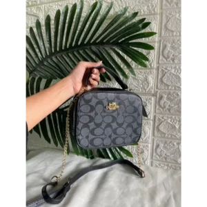 Imported Coach Handbag For Women (CT800)