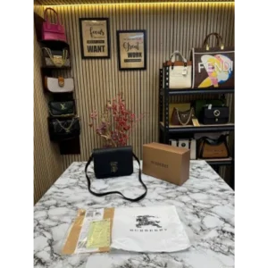 Classy Burberry Handbag For Women (J1624)