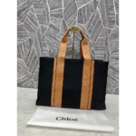 Imported Chloe Canvas Handbag For Women (TZC610) - Accessories | Buy Online at Best Price