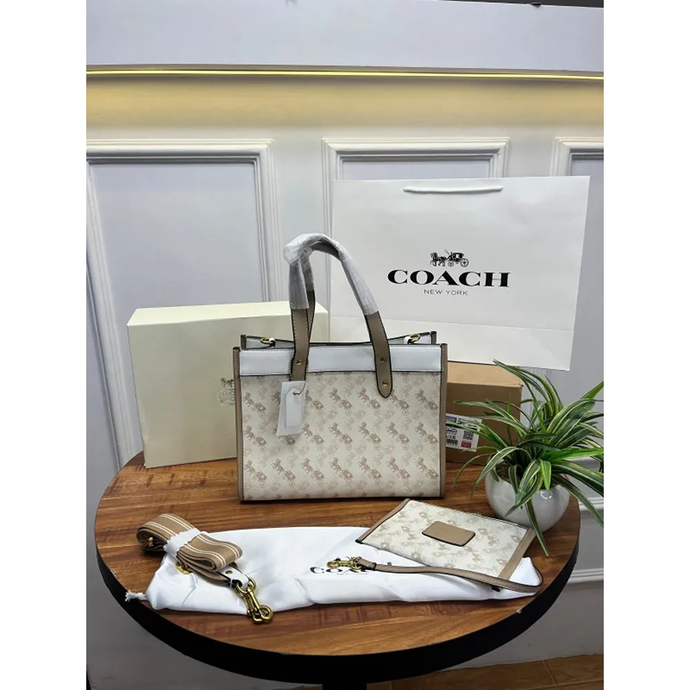 Stylish Coach Handbag For Women (SUP5273)