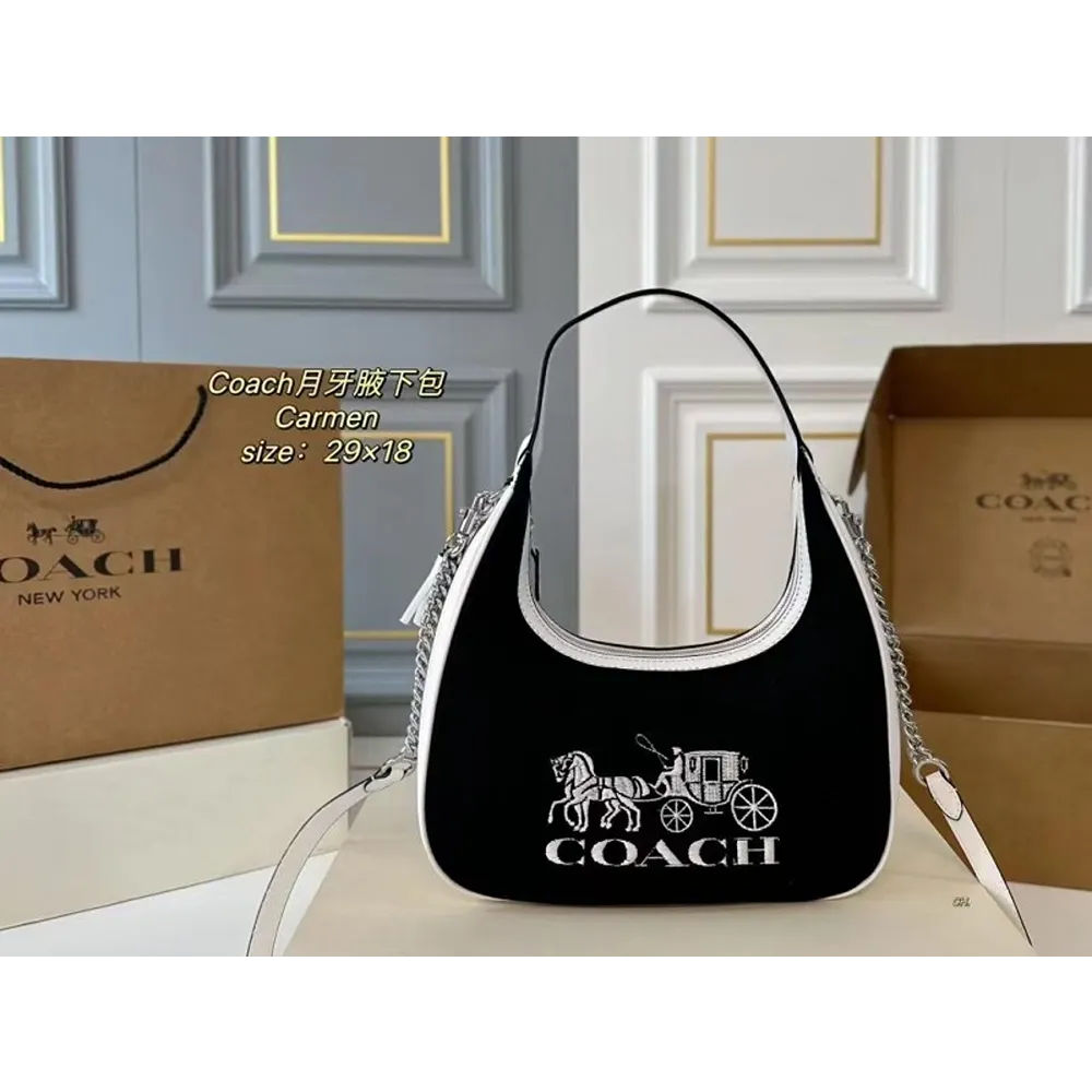Classy Coach Handbag For Women (J1765)